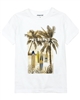 Mayoral Boy's T-shirt with Palms Print