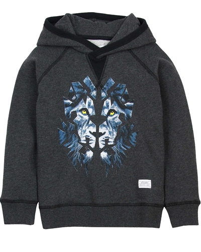 Art and Eden Boy's Sweatshirt with Lion Print sizes 4-10