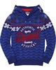 Desigual Boys Hooded Pullover Sanson