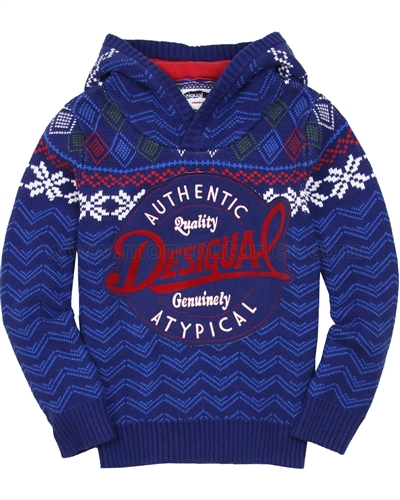 Desigual Boys Hooded Pullover Sanson