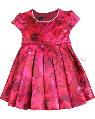 Biscotti Rose Rhapsody Pleated Dress