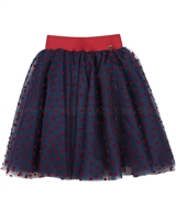 Love Made Tulle Skirt with Velvet Hearts