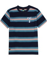 Nano Boys T-shirt in Multicolour Stripes