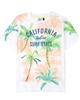 3Pommes Boy's T-shirt with Palm Print Miami Vice