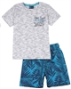 Quimby Boys T-shirt and Palm Print Swim Shorts Set